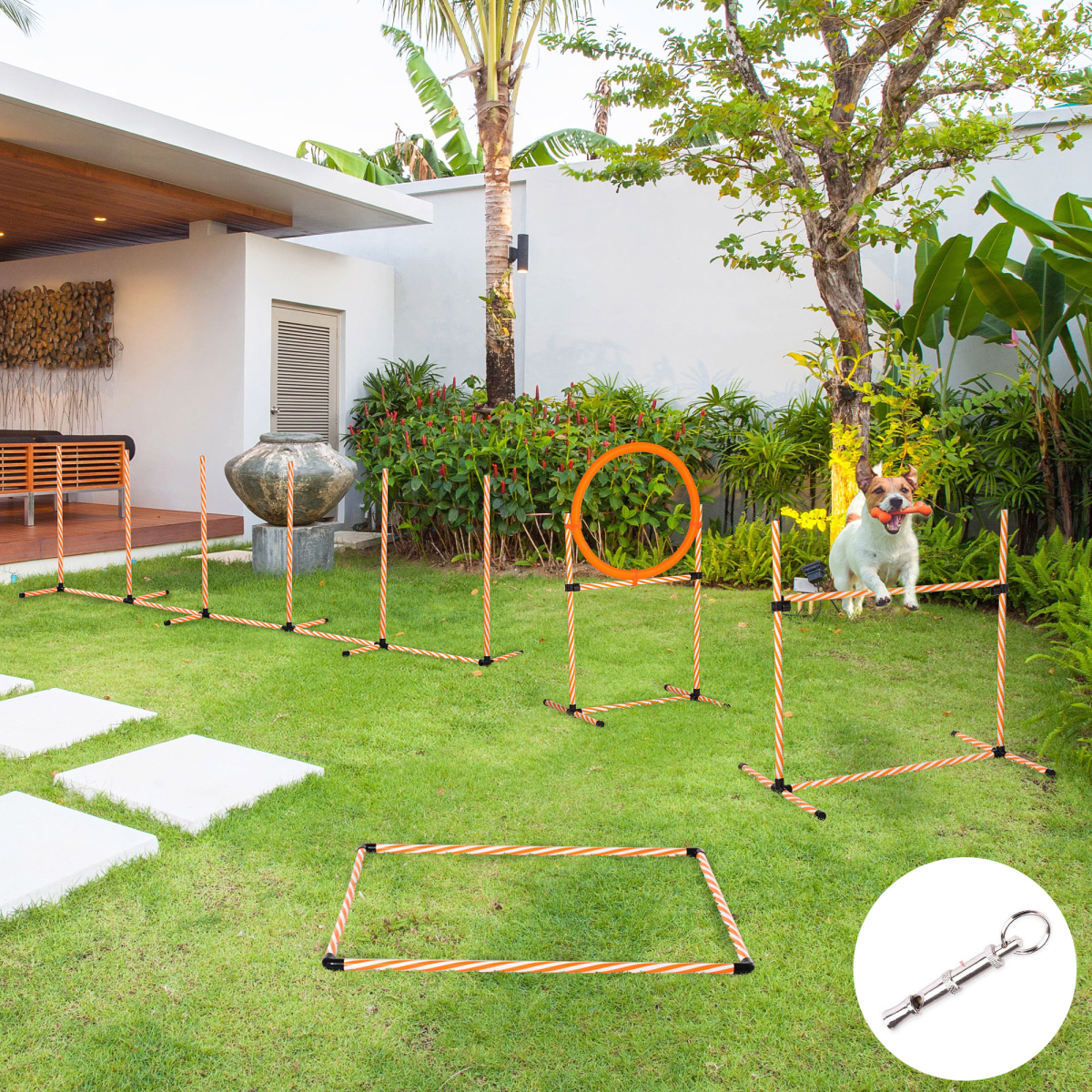 Pet Agility Training Equipment Dog Play Run Jump Hurdle Obedience Training Set